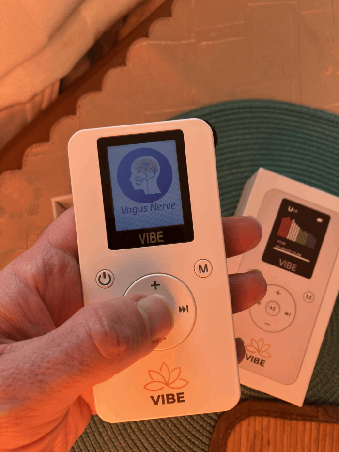 Professional PEMF therapy device for dogs